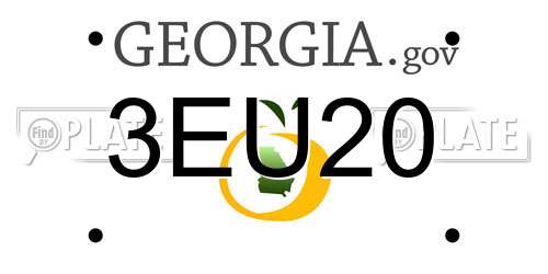 3EU20 Georgia License Plate