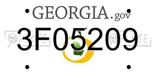 3F05209 Georgia License Plate