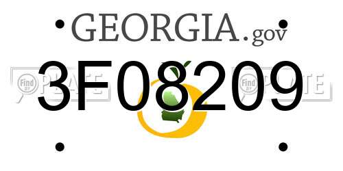 3F08209 Georgia License Plate