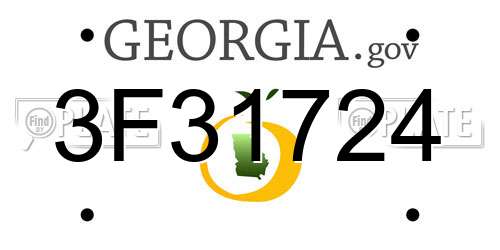 3F31724 Georgia License Plate