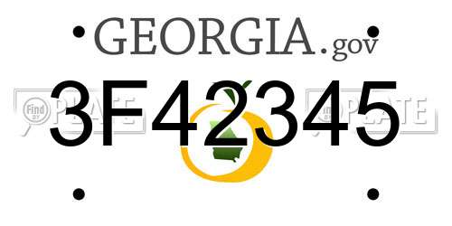 3F42345 Georgia License Plate