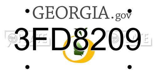 3FD8209 Georgia License Plate