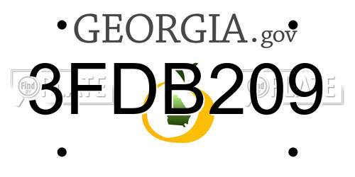3FDB209 Georgia License Plate