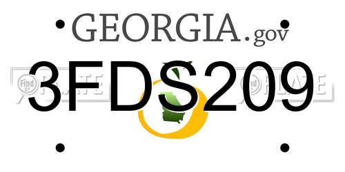 3FDS209 Georgia License Plate