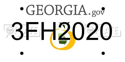 3FH2020 Georgia License Plate