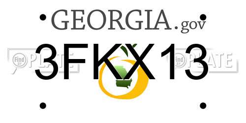 3FKX13 Georgia License Plate