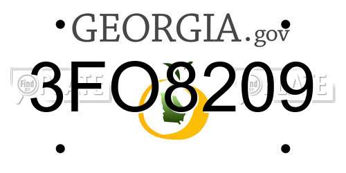 3FO8209 Georgia License Plate