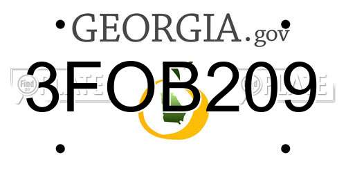 3FOB209 Georgia License Plate