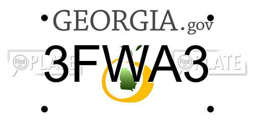 3FWA3 Georgia License Plate