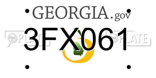 3FX061 Georgia License Plate