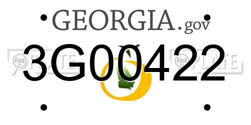 3G00422 Georgia License Plate