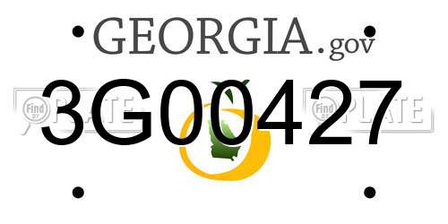 3G00427 Georgia License Plate
