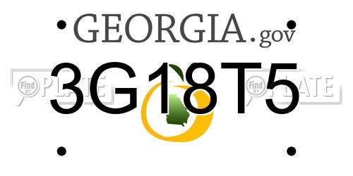 3G18T5 Georgia License Plate
