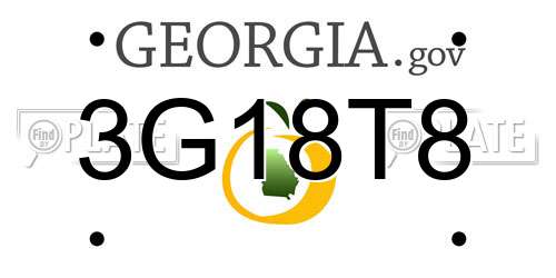 3G18T8 Georgia License Plate