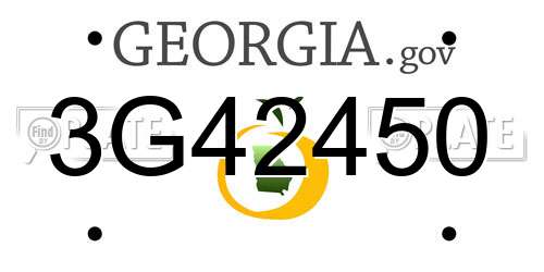 3G42450 Georgia License Plate