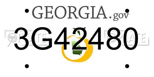 3G42480 Georgia License Plate