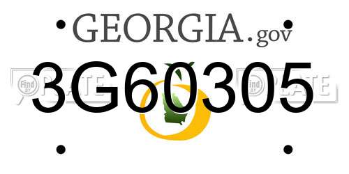 3G60305 Georgia License Plate