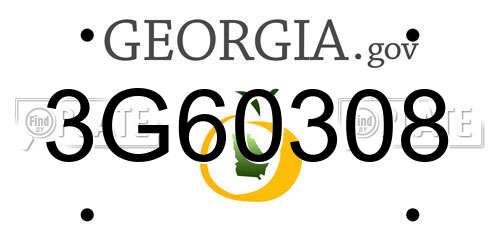 3G60308 Georgia License Plate