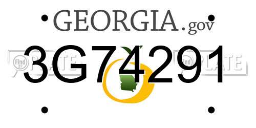 3G74291 Georgia License Plate