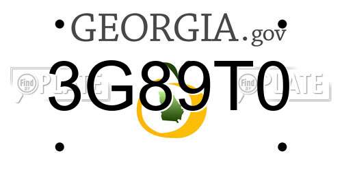 3G89T0 Georgia License Plate