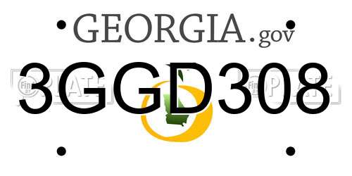 3GGD308 Georgia License Plate