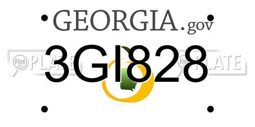3GI828 Georgia License Plate