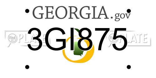 3GI875 Georgia License Plate