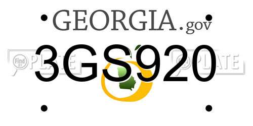 3GS920 Georgia License Plate