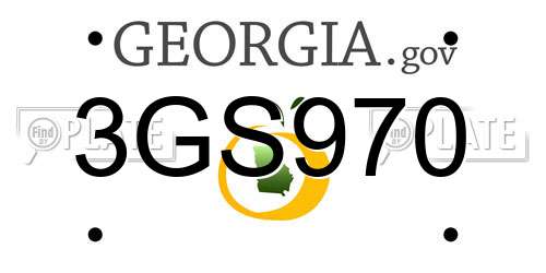 3GS970 Georgia License Plate