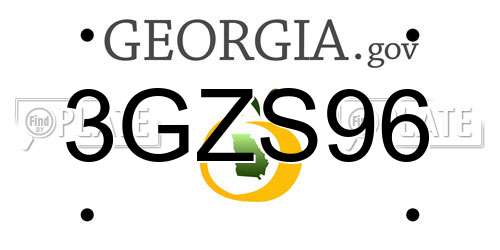 3GZS96 Georgia License Plate