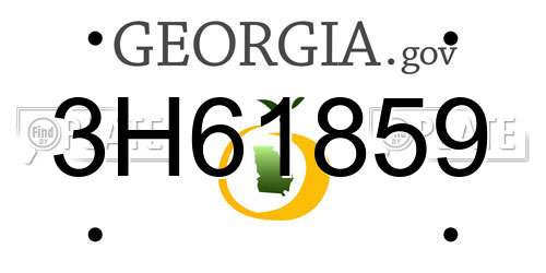 3H61859 Georgia License Plate