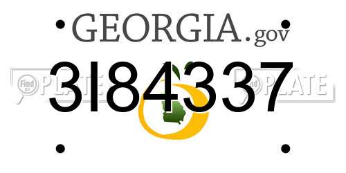 3I84337 Georgia License Plate