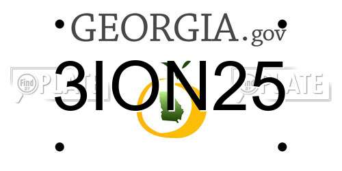 3ION25 Georgia License Plate