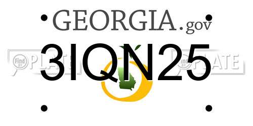 3IQN25 Georgia License Plate