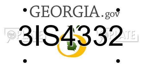 3IS4332 Georgia License Plate