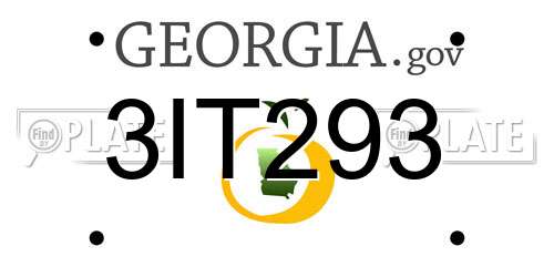 3IT293 Georgia License Plate