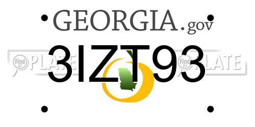 3IZT93 Georgia License Plate