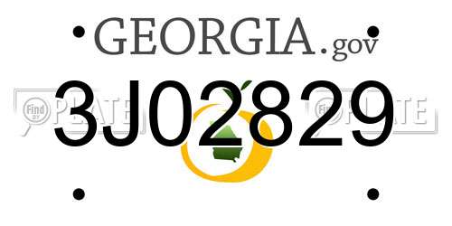 3J02829 Georgia License Plate