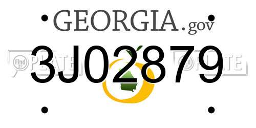 3J02879 Georgia License Plate