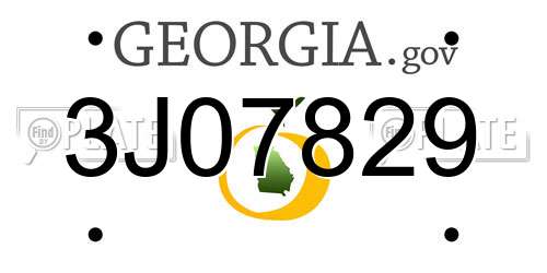 3J07829 Georgia License Plate