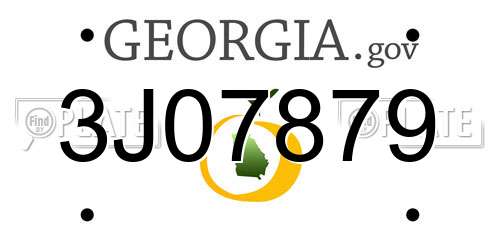 3J07879 Georgia License Plate