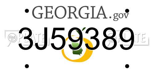 3J59389 Georgia License Plate
