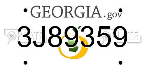 3J89359 Georgia License Plate