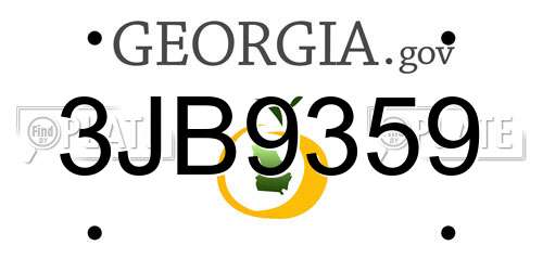 3JB9359 Georgia License Plate