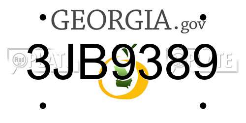 3JB9389 Georgia License Plate