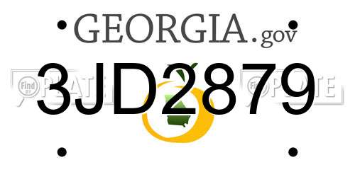 3JD2879 Georgia License Plate