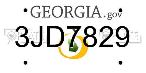 3JD7829 Georgia License Plate