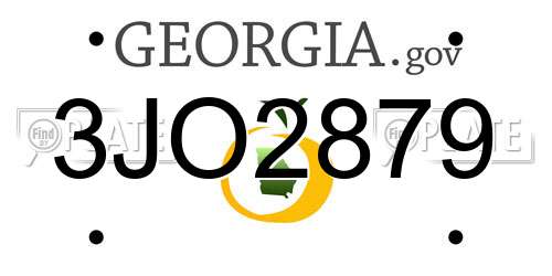 3JO2879 Georgia License Plate