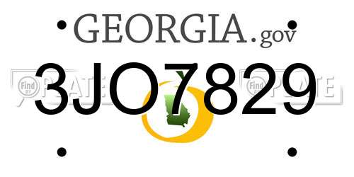 3JO7829 Georgia License Plate