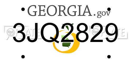 3JQ2829 Georgia License Plate